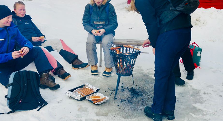 Zweden Winter Nieuw 22